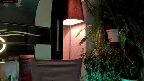 Sunshine online show from January 8, 4:49 am