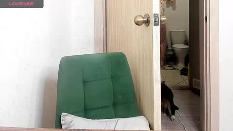 Snapshot of _feralberry__ chatting on March 3, 3:26 pm Alis online show from March 3, 3:26 pm