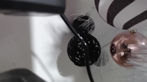 Cata  online show from December 2, 3:08 am