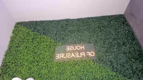 A B B Y online show from February 14, 11:53 am