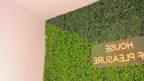 A B B Y online show from March 8, 12:07 pm