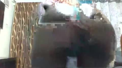 Snapshot of africanfinest001 chatting on September 23, 2:10 am africanfinest001 online show from September 23, 2:10 am