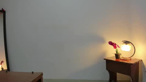 Snapshot of afrodita3123 chatting on March 4, 12:44 pm Lorena online show from March 4, 12:44 pm