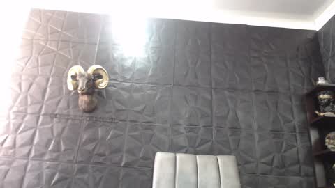  Miss Agata  online show from January 13, 5:12 pm