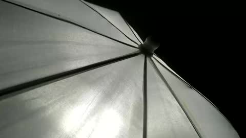 CAROLINA online show from April 12, 4:32 pm