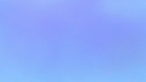 Alaia online show from November 1, 10:03 pm