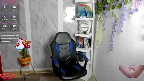 Alaya online show from December 1, 2:48 am