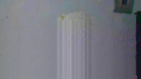 aleka_williams_ online show from October 20, 11:30 pm