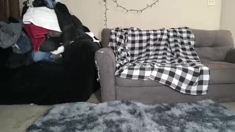 alice_leray online show from March 12, 12:13 am