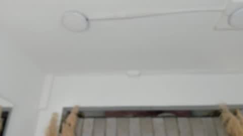    online show from February 2, 10:47 am