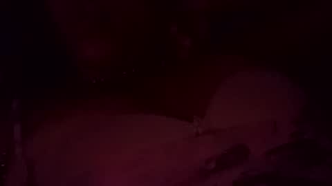 analia online show from December 23, 2:56 am