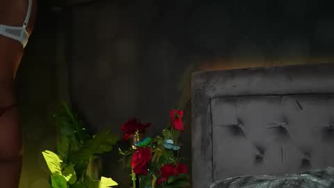  Amelia  online show from November 15, 10:11 pm