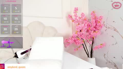 Amykord online show from September 24, 11:53 am