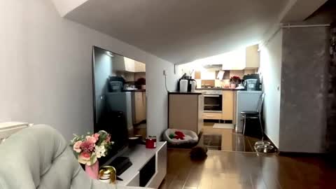 amyroberta92 online show from December 19, 8:06 am