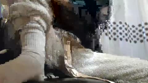 Snapshot of analove200 chatting on February 13, 5:37 am analove200 online show from February 13, 5:37 am