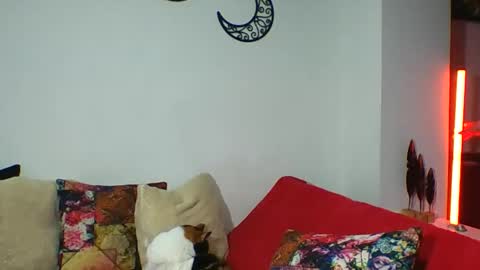  Angela  online show from April 9, 2:03 am