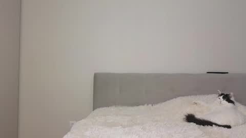 Angel online show from April 24, 3:42 am