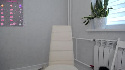 arinamir online show from September 23, 2:21 am