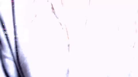 ashenroe online show from February 12, 11:12 am