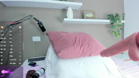 Ashley online show from November 2, 1:36 pm