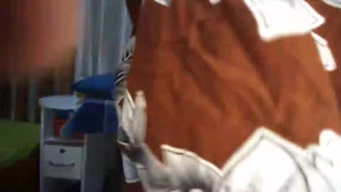 shee online show from February 28, 9:20 am