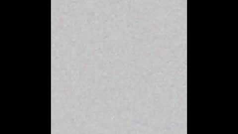 Carolina online show from March 27, 11:55 am