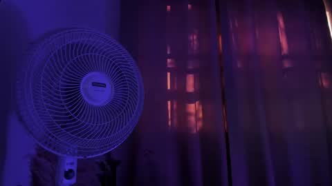 ...  ... online show from April 17, 9:50 pm