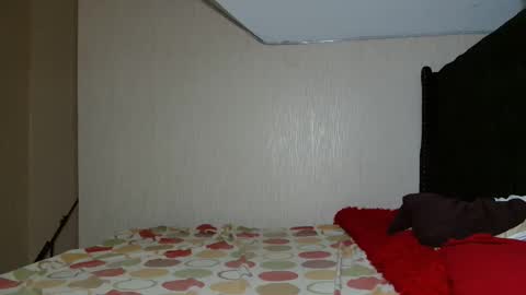 Avian online show from November 2, 8:45 pm