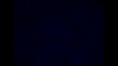 Lily. online show from December 5, 4:30 pm