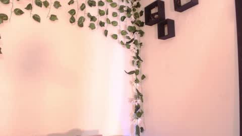 bahianawood online show from December 5, 11:38 am