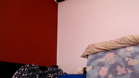 bayonette_black online show from March 1, 11:39 am