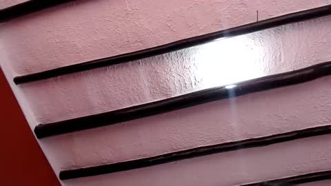 bayonette_black online show from March 7, 11:40 am