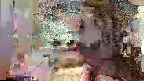 beencee2 online show from February 24, 12:04 pm