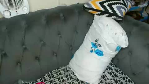 bela_violet online show from May 24, 1:32 pm