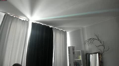 Bella online show from February 5, 8:17 am