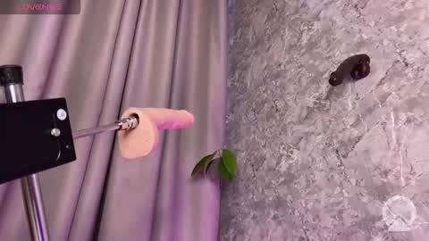 Bella online show from November 19, 8:47 am