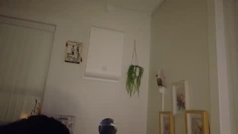 bellatrix993 online show from September 30, 5:24 am