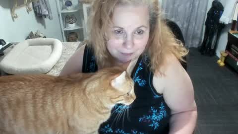 Bellavoca online show from August 7, 11:01 pm