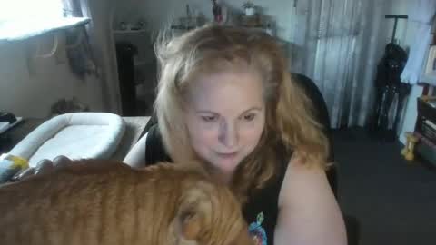 Bellavoca online show from August 9, 11:25 am