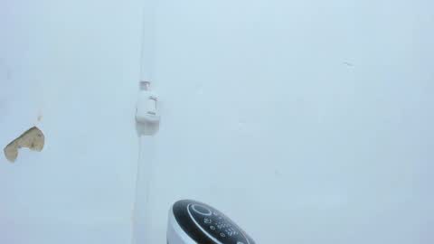 Bellota Flak online show from December 14, 4:56 am