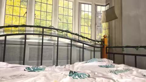 Evelina online show from November 16, 8:49 am