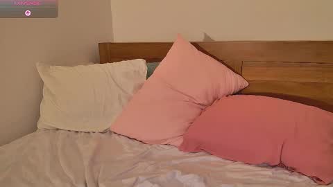 Sasha online show from November 1, 1:04 pm