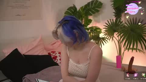 bluebeell online show from June 25, 2:07 pm
