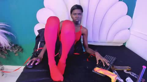 bonieklent online show from January 28, 3:36 am