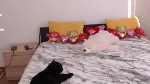 Ellis online show from February 3, 7:02 am