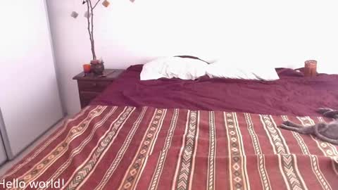 Snapshot of buckwheat_queen chatting on January 23, 6:24 pm Mira online show from January 23, 6:24 pm