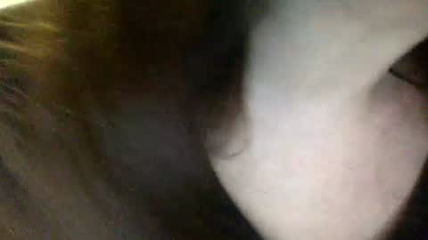 Lamb online show from December 14, 7:19 pm