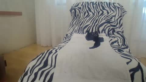 Cassandra joy online show from February 24, 12:15 pm