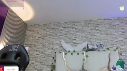 casse_tay online show from February 19, 3:06 am