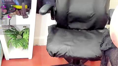 cataleya  online show from March 14, 6:25 am